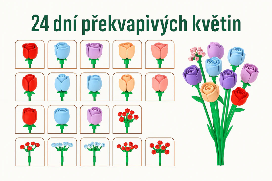 Botanické cihličky Advent (+ Zdarma váza)